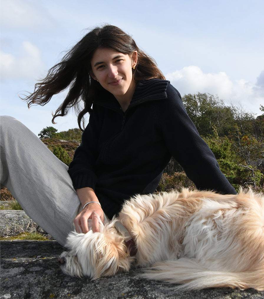 VESTAS VÄRLD — VID HAVET